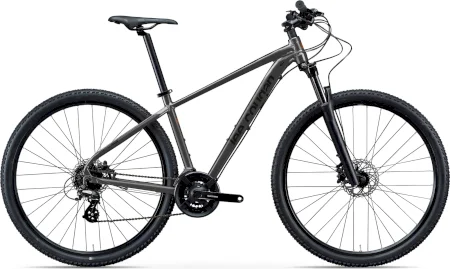Leecougan Rebel 2024