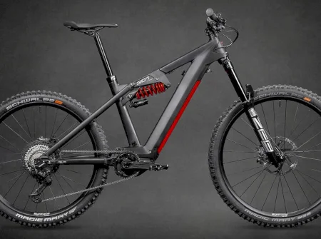 Liteville 301ce Mk1 Pro.two 2021