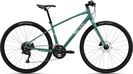 Liv Alight Disc 2 2025