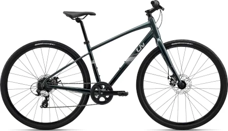 Liv Alight Disc 4 2025