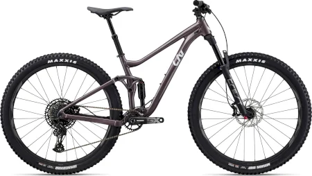Liv Embolden 1 2024