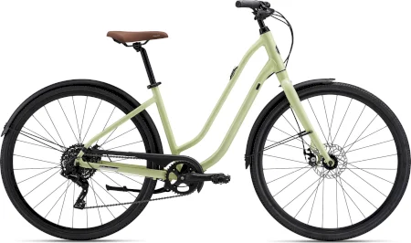 Liv Flourish Disc 3 2023