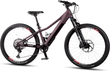 Maxx Racemaxx Elf Fazua 2024