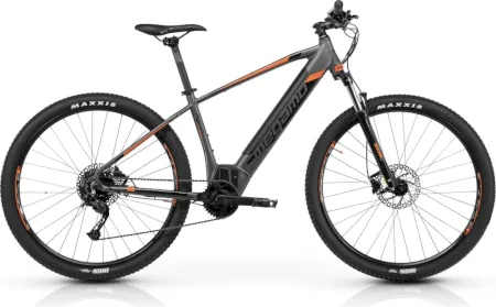 Megamo Ridon 10 2021