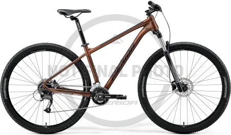 Merida Big.nine 60 2x 2022