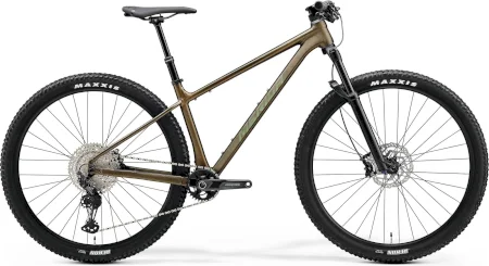 Merida Big.nine Tr Limited 2024