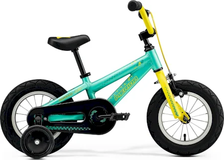 Merida Matts J. 12 2024