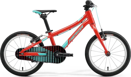 Merida Matts J. 16 2024