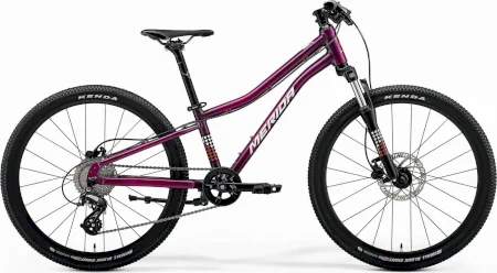 Merida Matts J. 24 2024