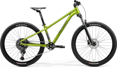 Merida Matts J. Champion 2024