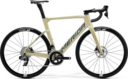 Merida Reacto Rival Edition 2024