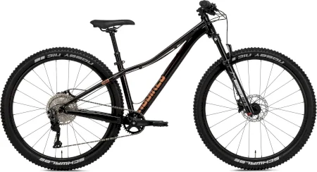 Ns Eccentric Mini Pro 2023