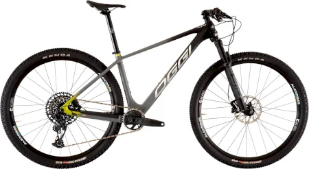 Oggi Agile Pro Gx 2023