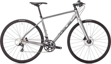 Opus Citato Sora 2021