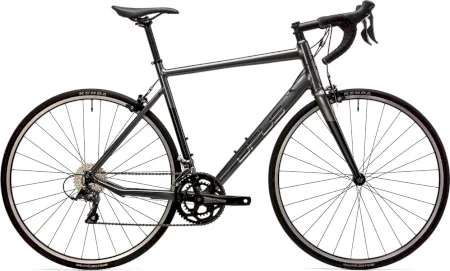 Opus Fortitude Claris 2025