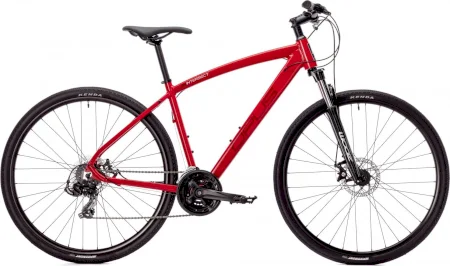 Opus Intersect 4 2025