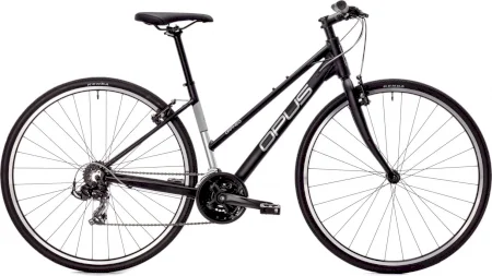 Opus Orpheo 5 St 2025