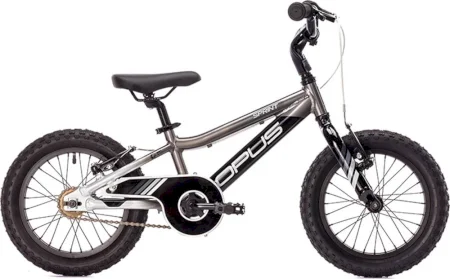 Opus Sprint 2021
