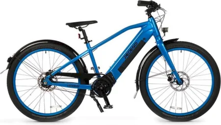 Pedego Conveyor 2019
