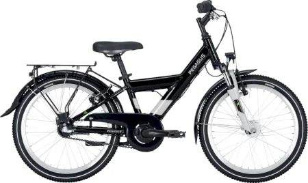 Pegasus Avanti 3 20 2024
