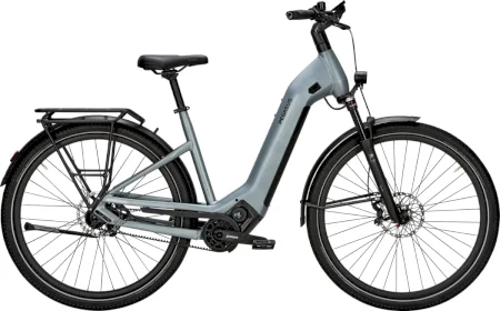 Pegasus Estremo Evo 12 Lite Wave 2024