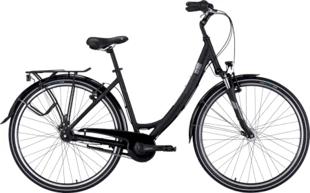 Pegasus Piazza 8 2022