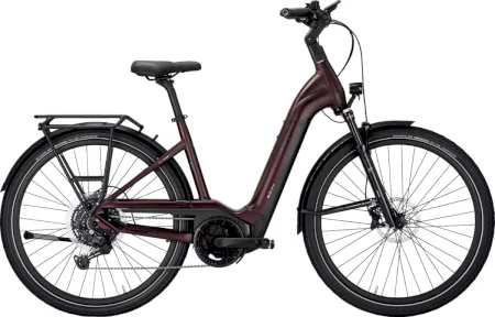 Pegasus Strong Evo 10 Lite Wave 2024