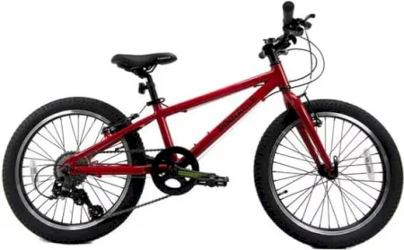 Pinnacle Ash 20 Inch 2024