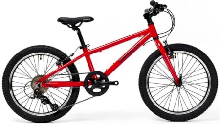 Pinnacle Ash 20 Inch Bike Junior 2024