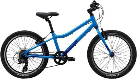 Pinnacle Ash 20 Inch Kids Bike 2022