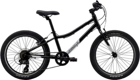 Pinnacle Ash 20 Inch Kids Bike 2023