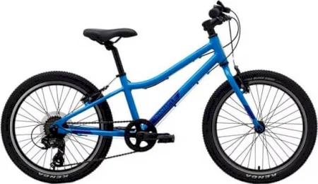 Pinnacle Ash 20 Inch Kids Bike 2024
