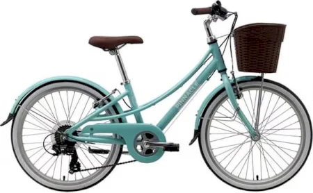 Pinnacle Californium 20 Inch Bike Childrens 2024