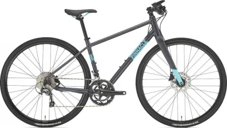 Pinnacle Neon 4 2020