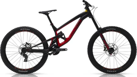 Polygon Collosus Dh Team 2018
