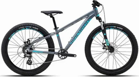Polygon Premier 24 Xc Disc 2024