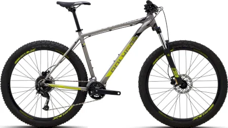Polygon Premier 5 2020