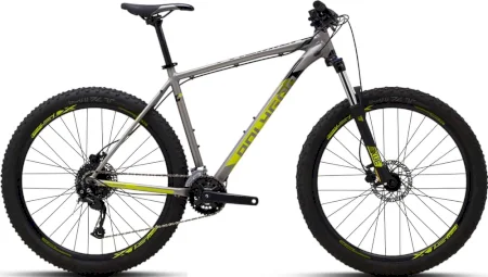 Polygon Premier 5 2021