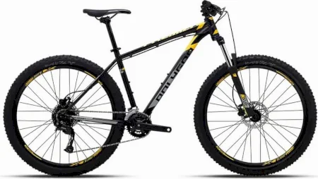 Polygon Premier 5 2024