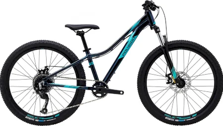 Polygon Relic Evo 24 Inch 2021