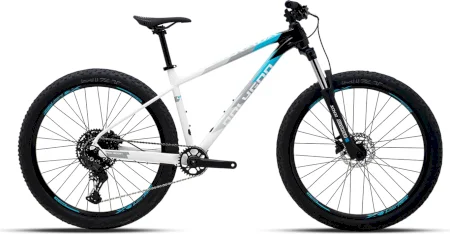 Polygon Xtrada 5 2025