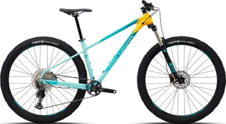 Polygon Xtrada 7 2021