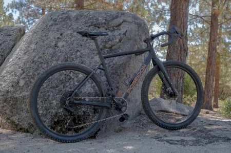 Poseidon Shadow Redwood 2021