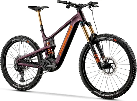 Propain Ekano 2 Al Goldrush 2024