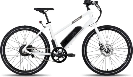 Radpowerbikes Radmission 1 2021