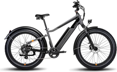 Radpowerbikes Radrhino 6 Plus 2022