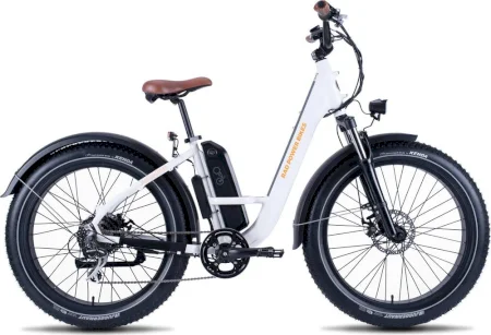 Radpowerbikes Radrover Step Thru 1 2020