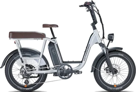 Radpowerbikes Radrunner Plus 2022