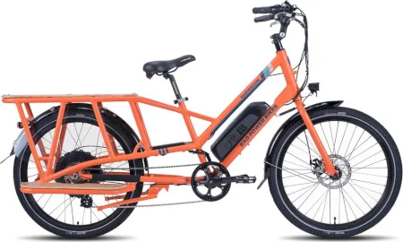 Radpowerbikes Radwagon 3 2020