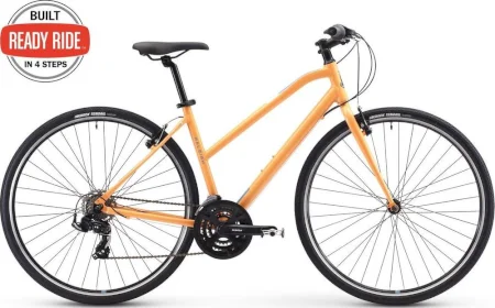 Raleigh Alysa 1 2018